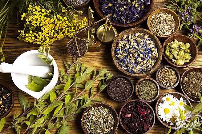 چرا سردرد می گیریم؟/ مبتلایان به میگرن بخوانند/ نسخه طب سنتی برای درمان سردردهای میگرنی